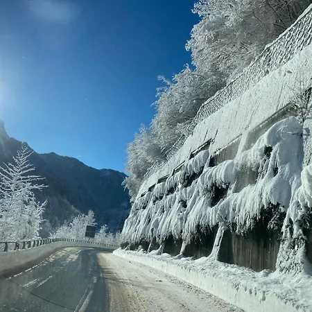 Bed & Breakfast Maison Verte