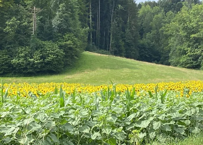 Maison Verte Nocleg ze śniadaniem *